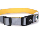 Padded Adjustable Collar for Dogs, Puppies & Cats (Gray)