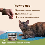 BASIL Catnip Jar for Kittens & Cats, Pure & Natural Cat Nip