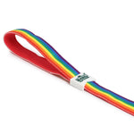 Padded Leash for Dogs, Cats & Puppies (Rainbow)