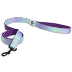 Padded Leash for Dogs, Cats & Puppies (Purple & Blue)