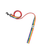 Padded Leash for Dogs, Cats & Puppies (Rainbow)