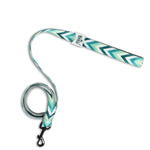 Padded Leash for Dogs, Cats & Puppies (Zig-Zag Green)