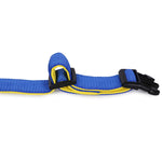 Padded Adjustable Collar for Dogs, Puppies & Cats (Blue)