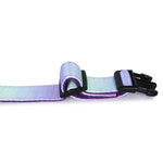 Padded Adjustable Collar for Dogs, Cats & Puppies (Purple & Blue)