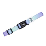 Padded Adjustable Collar for Dogs, Cats & Puppies (Purple & Blue)