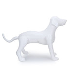Dummy Dog Inflatable Pet Shop Display Mannequin for Dog Clothing and Accessories (White) - The Basil Pet Care