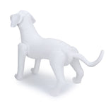 Dummy Dog Inflatable Pet Shop Display Mannequin for Dog Clothing and Accessories (White) - The Basil Pet Care
