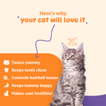 BASIL PURRfect Dental Stick Tuna Cranberry Treat for Cats & Kittens | 44 Grams - The Basil Pet Care