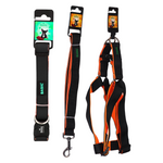 Basil Padded Leash, Collar, and Harness Set for Dogs – Comfortable & Durable Walk Essential, Solid Black