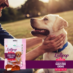 BASIL Chicken Lollipop Guilt-Free Treat for Dogs & Puppies | 92 Grams