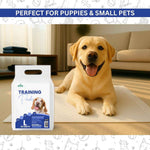 Training Pee Pads, Large (60x60 CMS)
