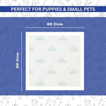 Training Pee Pads, Large (60x60 CMS)