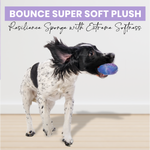 BASIL Soft Plush monster toy - The Basil Pet Care