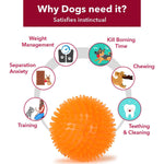BASIL Spiked Squeaky Chew Ball for Dogs & Puppies (Orange)