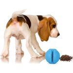 BASIL Solid Ball with Hollow Centre & Grooves in Sides for Treats