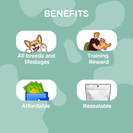 BASIL Turtle with Peanut Butter Guilt-Free Treat for Dogs & Puppies | 94 Grams - The Basil Pet Care