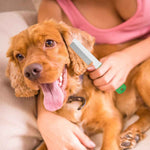 BASIL Flea Comb for Dogs & Cats