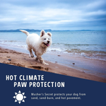 BASIL Softy Paw Butter for Dogs & Cats, 50Gms - Soothing Moisturizer for Paws and Noses - The Basil Pet Care