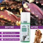 BASIL Spearmint Mouth Freshening Spray for Dogs, 130ml