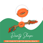 BASIL Rope with Chew Ball - The Basil Pet Care