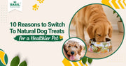  Natural Dog Treats 