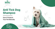Anti Tick Dog Shampoo 