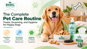 The Complete Pet Care Routine: Treats, Grooming, and Hygiene for Happy Dogs