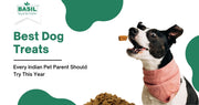 Best Dog Treats 