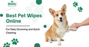 Best Pet Wipes Online