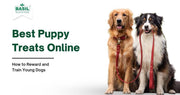 Best Puppy Treats Online