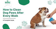 Clean Dog Paws 