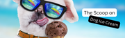 Cool Treats for Hot Days: The Scoop on Dog Ice Cream - The Basil Pet Care
