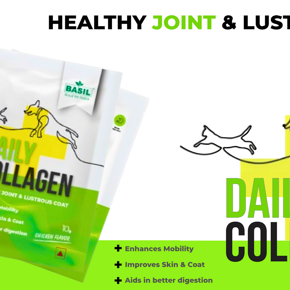 BASIL DAILY COLLAGEN - The Basil Pet Care