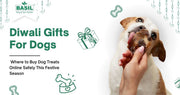 Diwali Gifts for Dogs Where to Buy Dog Treats Online
