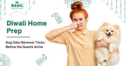 Diwali Home Prep: Dog Odor Remover Tricks Before the Guests Arrive