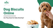 Dog Biscuits Online
