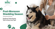 Dog Brush Online