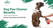 Dog Paw Cleaner Benefits