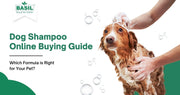 dog shampoo online