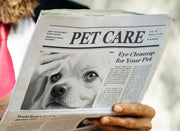 The Importance of Regular Eye Cleanup for Your Pet