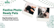 Festive and Photo-Ready: Dog Grooming Supplies for Diwali Family Pictures