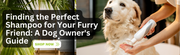 Finding the Perfect Shampoo for Your Furry Friend: A Dog Owner's Guide - The Basil Pet Care