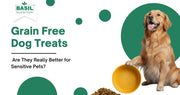 Grain Free Dog Treats 