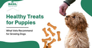 Healthy Treats for Puppies