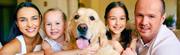 How to be a Responsible Dog Owner - The Basil Pet Care