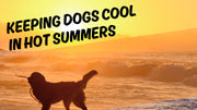 Keeping Dogs Cool in Hot Summers