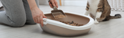 Litter Box Bliss: Unveiling the Magic of Tofu Cat Litter - The Basil Pet Care