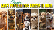 Most Trending Dog Breeds in India