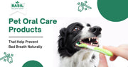 Pet Oral Care Products