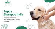 Puppy Shampoo India